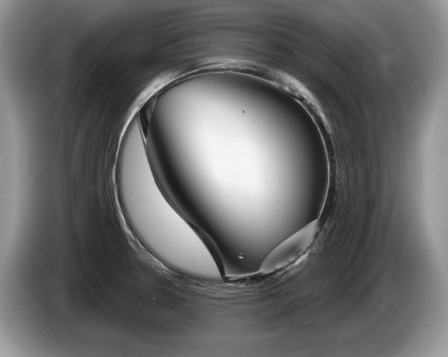 X0000087571330200704271240