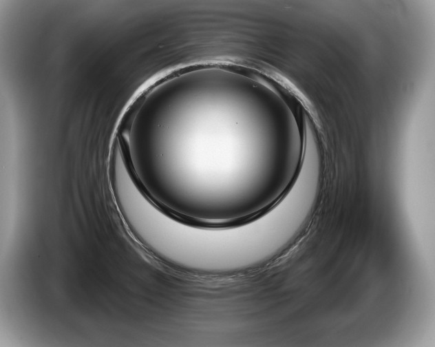 X0000087571332200704271240