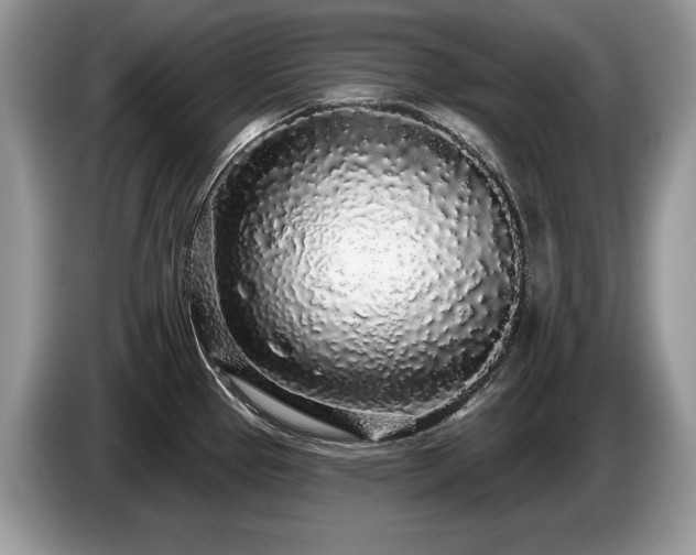 X0000087571337200704271240