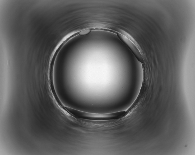 X0000087571339200704271240