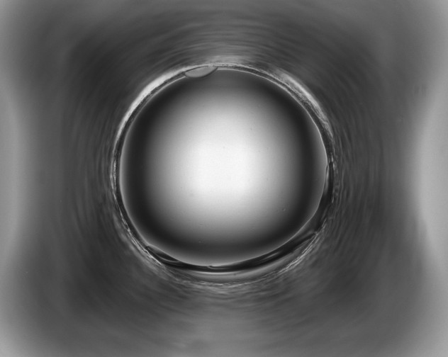 X0000087571340200704271240