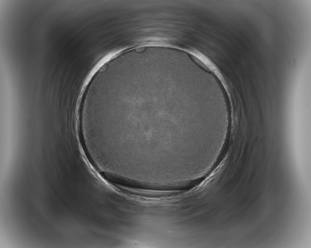 X0000087571341200704271240