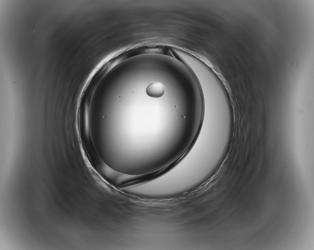X0000087571342200704271240