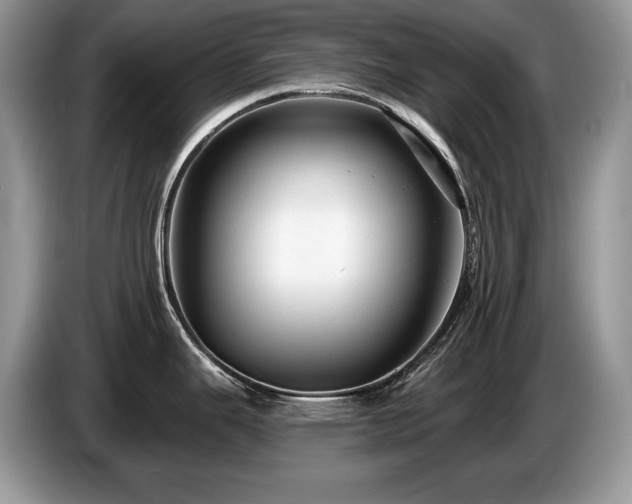 X0000087571343200704271240