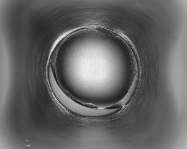 X0000087571344200704271240