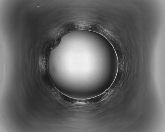 X0000087571346200704271240