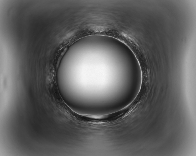 X0000087571349200704271240