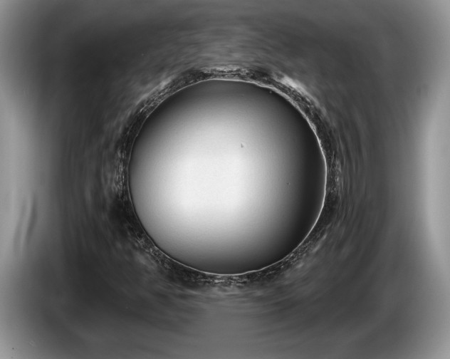 X0000087571350200704271240