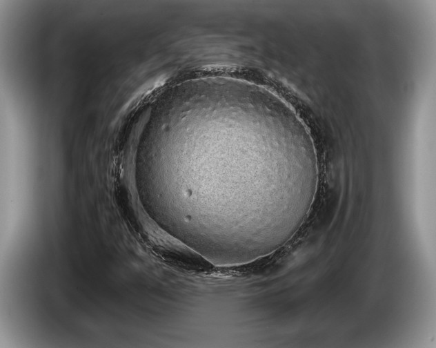 X0000087571351200704271240