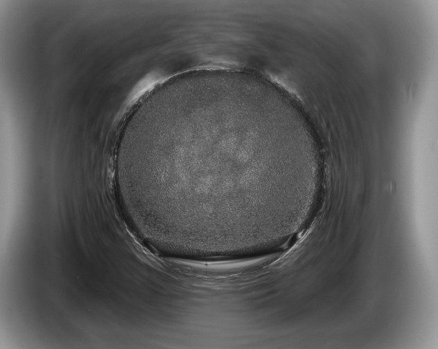 X0000087571355200704271240