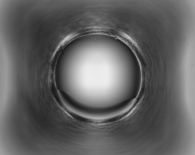 X0000087571357200704271240