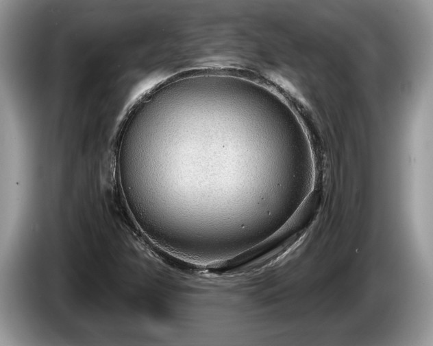 X0000087571358200704271240