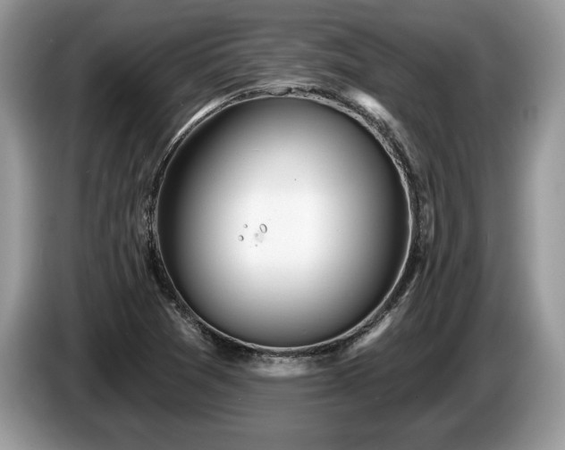 X0000087571361200704271240