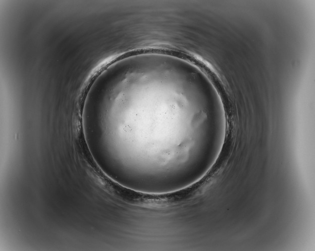 X0000087571363200704271240