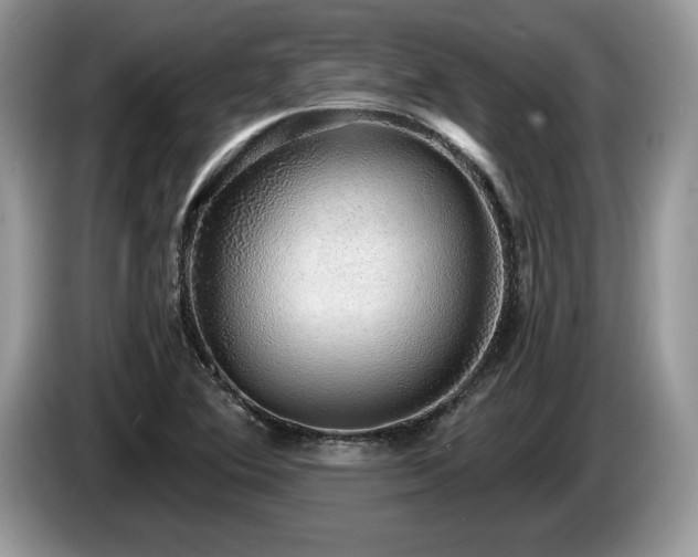 X0000087571364200704271240