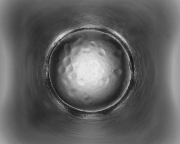 X0000087571367200704271240