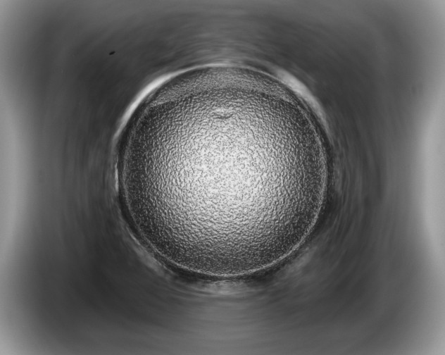 X0000087571368200704271240