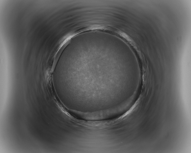 X0000087571369200704271239