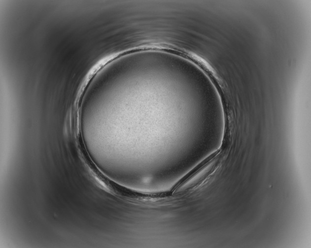 X0000087571371200704271239