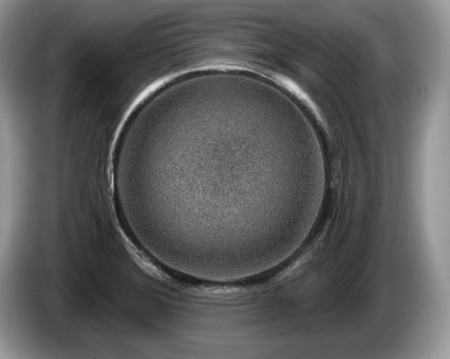 X0000087571372200704271239