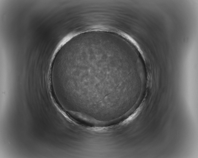 X0000087571373200704271239