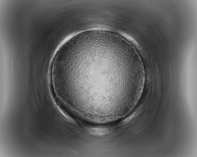 X0000087571375200704271239
