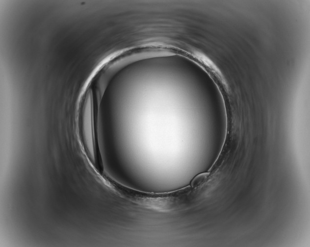 X0000087571376200704271239