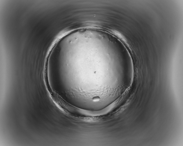 X0000087571379200704271239