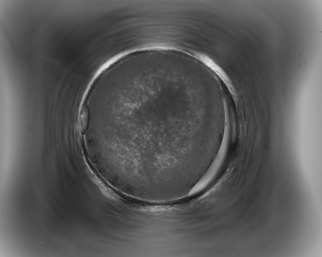 X0000087571380200704271239