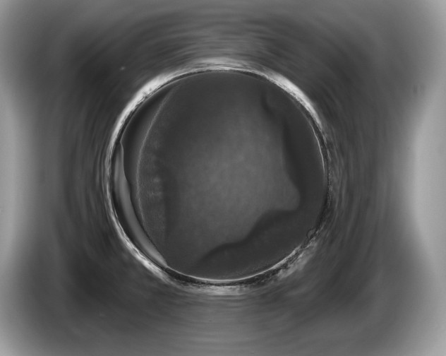 X0000087571381200704271239