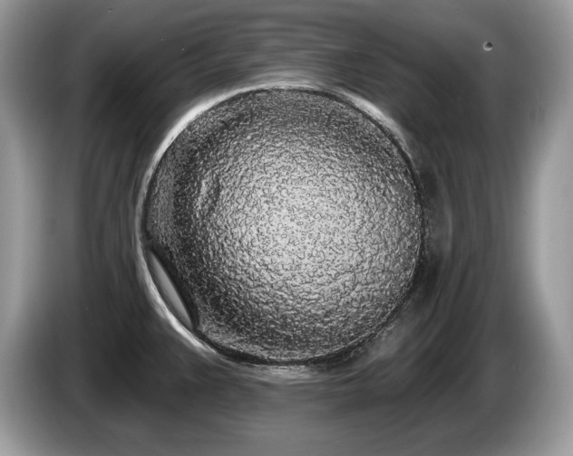 X0000087571383200704271239