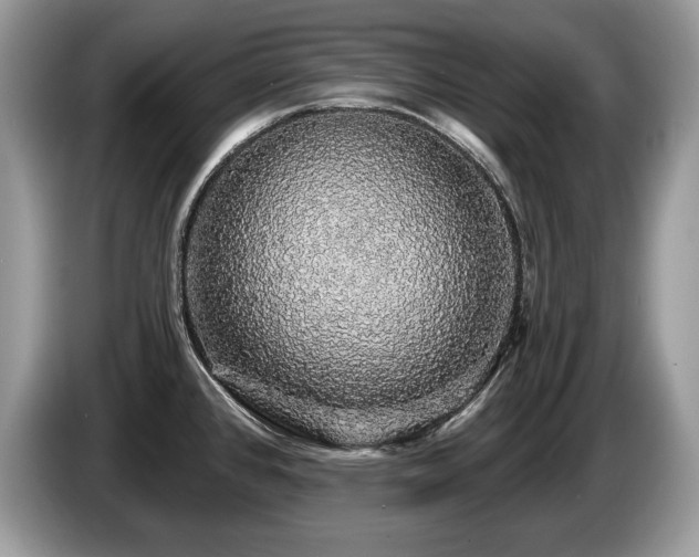 X0000087571384200704271239