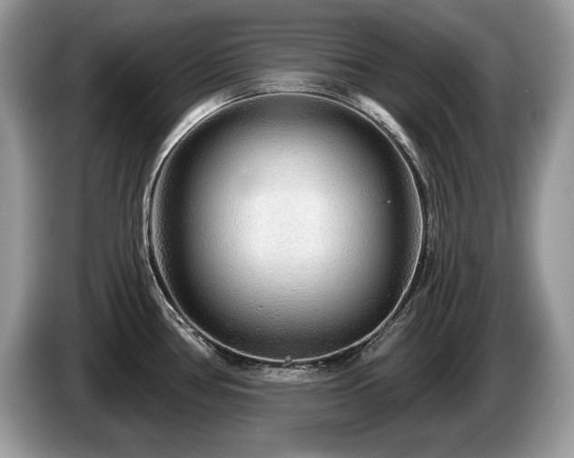 X0000087571386200704271239
