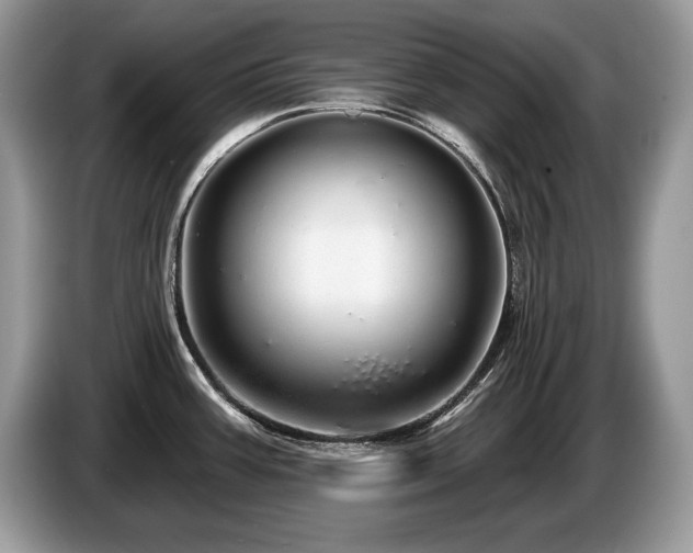 X0000087571387200704271239