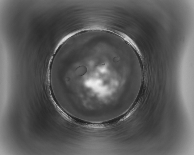 X0000087571388200704271239