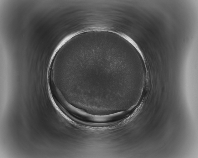 X0000087571389200704271239