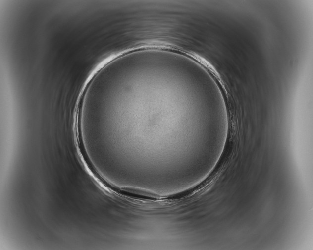 X0000087571391200704271239