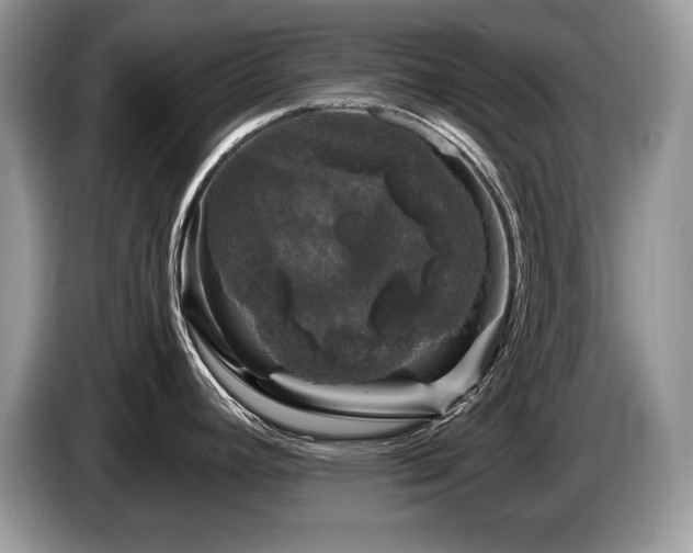 X0000087571392200704271239