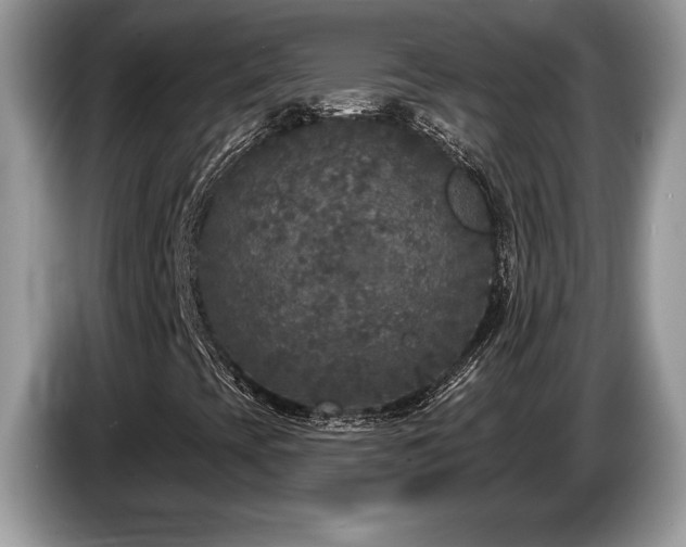 X0000087571393200704271239