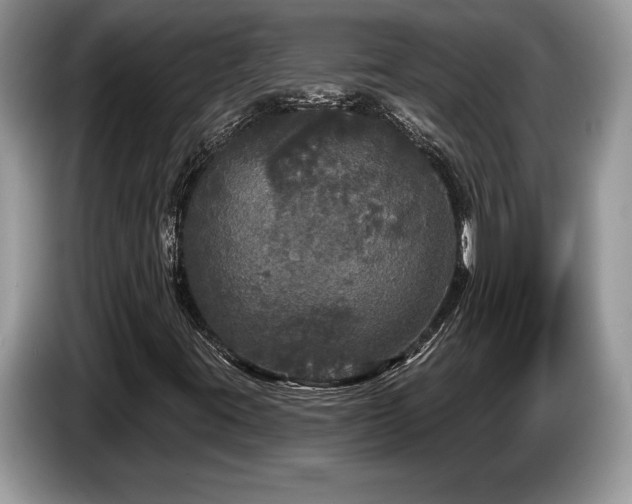 X0000087571395200704271239