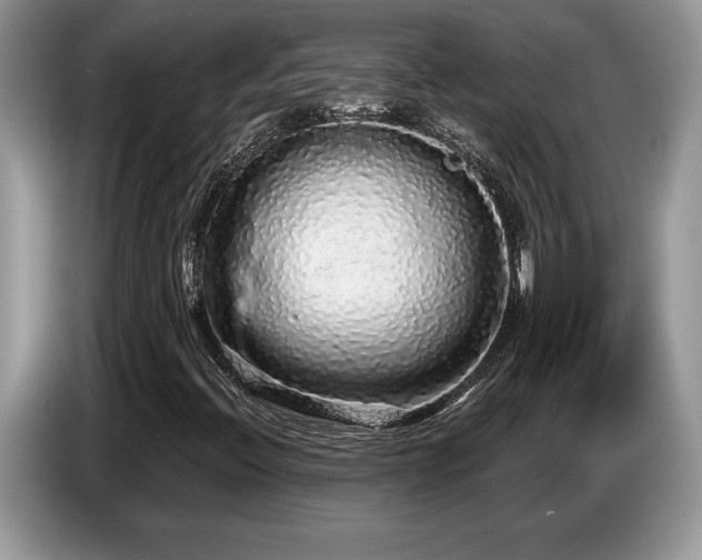 X0000087571396200704271239