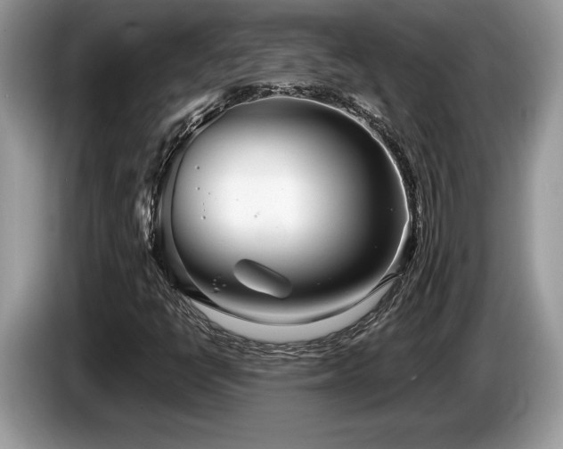 X0000087571398200704271239
