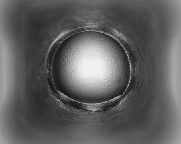 X0000087571400200704271239