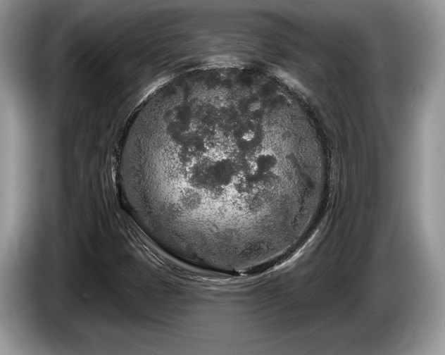 X0000087571401200704271239