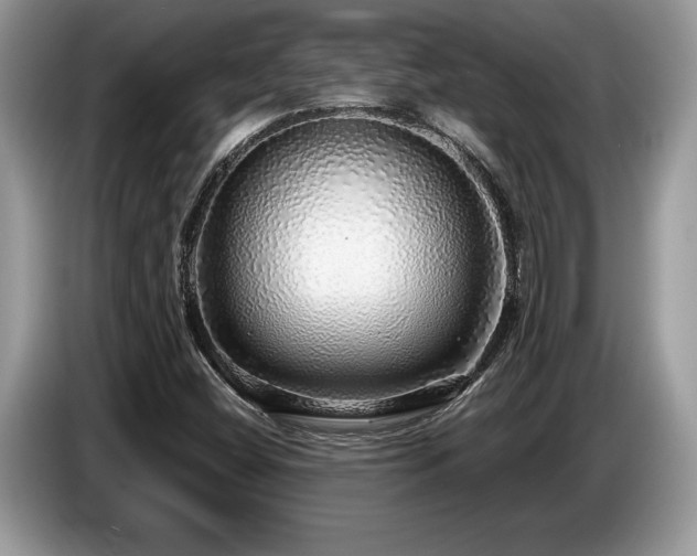 X0000087571404200704271239