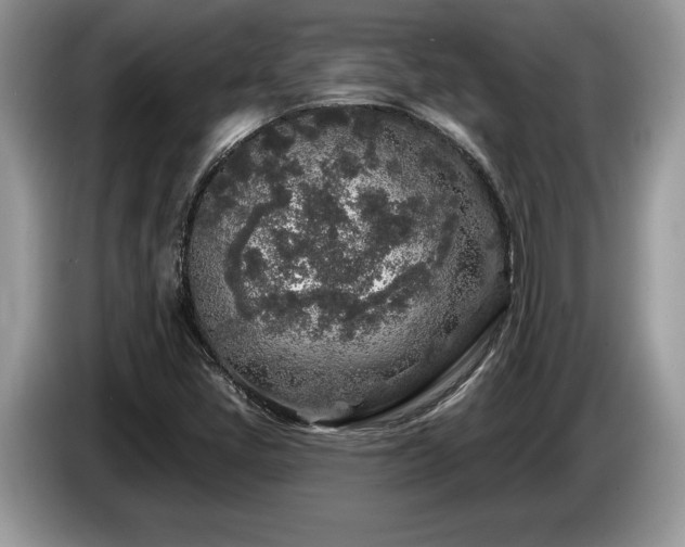 X0000087571405200704271239