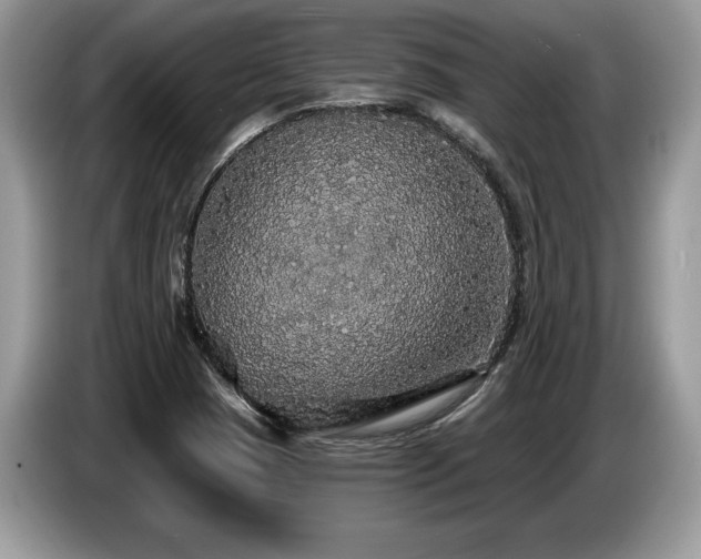 X0000087571409200704271239