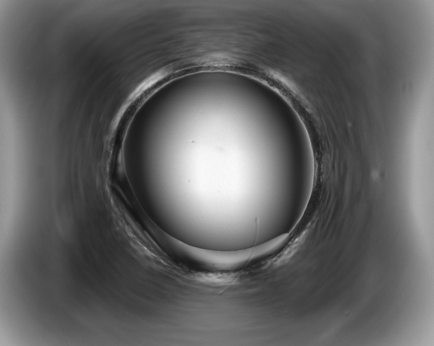 X0000087571410200704271239