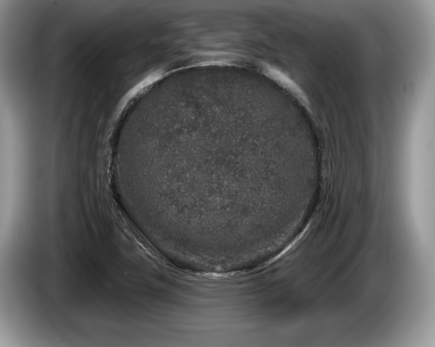 X0000087571411200704271239