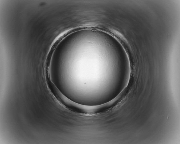 X0000087571412200704271239